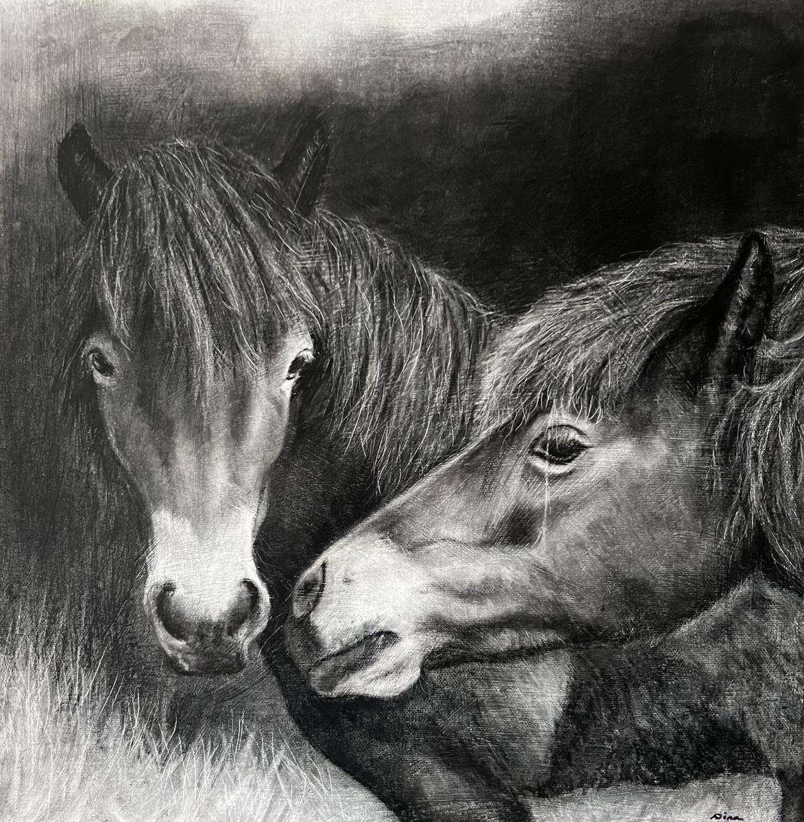 EXMOOR
